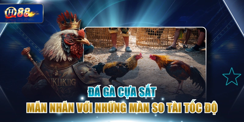 Đá Gà Cựa Sắt - Mãn Nhãn Với Những Màn So Tài Tốc Độ