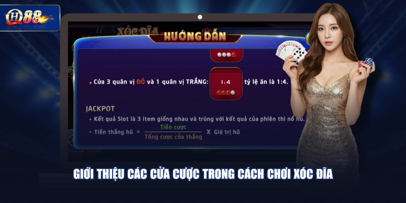 Giới thiệu các cửa cược trong cách chơi Xóc Đĩa