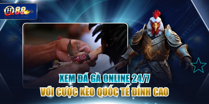 Xem Đá Gà Online 24/7 Với Cược Kèo Quốc Tế Đỉnh Cao